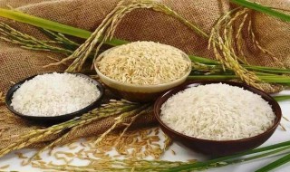 我国主产粮食的地方在哪里（全国的粮食主要产在哪）