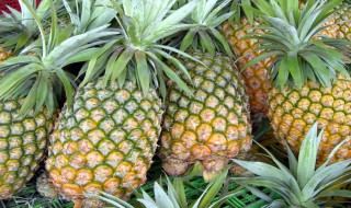 凤梨怎么吃（凤梨怎么吃最好吃最甜）