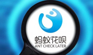 支付宝花呗提前还款可以分开还吗(花呗分期付款还可以提前还款吗)