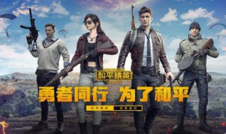 和平精英里面有多少枪皮肤 和平精英里面的所有枪皮肤