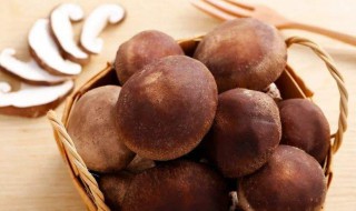 香菇怎样才能没有腥味（香菇怎样才能没有腥味呢）