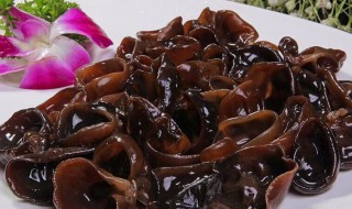 木耳怎样才能快速泡发 木耳怎样快速泡发好