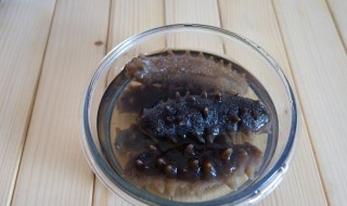 怎样才能泡好海参（怎样才能泡好海参吃）