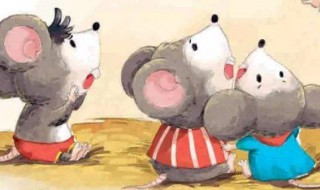 怎样才能把老鼠赶出来（怎么能把老鼠赶出去）