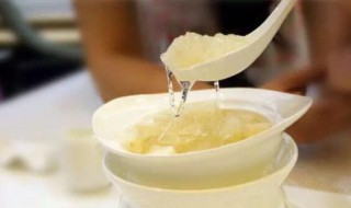 冰糖炖雪梨什么时间放冰糖(冰糖炖雪梨什么时候放糖)