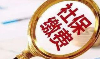 多大年龄办理社保合适 多大年龄办理社保合适一些