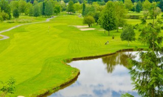 如何去除浮萍 如何去除浮萍的腥味