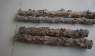 如何制作花椒木拐杖 花椒木拐杖的制作方法