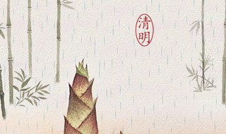 清明节每年一样吗（每年清明节都不一样吗）