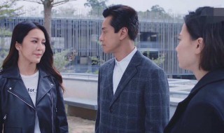 法证先锋4高靖大结局(法证先锋4结局篇)