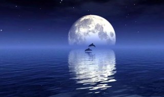 我不是球球如何登录（登录我的球球）