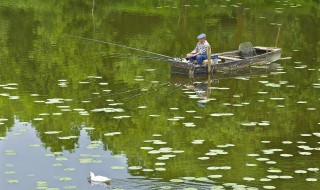 春季下雨降温好钓鱼吗 春季下雨降温好钓鱼吗视频