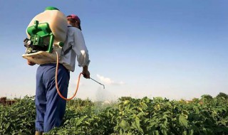 氯吡脲叶面喷施几次 氯吡脲叶面喷施几次有效