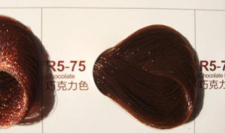 染发的咖啡棕和巧克力棕的区别 染发的咖啡棕和巧克力棕的区别在哪