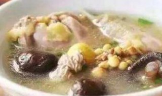 鸡汤简单家庭做法 家庭鸡汤的简单做法