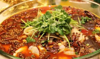 毛肚锅的简单做法 毛肚锅的简单做法大全