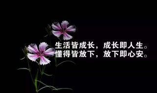 激发人励志的句子 最激发人的励志话