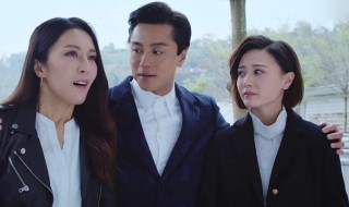 法证先锋高善到底是谁（法证先锋4最后找到高善了吗）