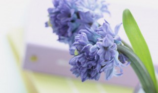 朋友圈时尚的句子（发朋友圈的时尚句子）