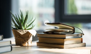 干净的励志短句(干净励志短句朋友圈)