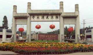 武汉大学哪里樱花多（武汉大学有樱花么）