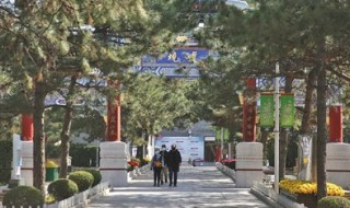 北京怎样网上预约扫墓 北京如何网上预约扫墓