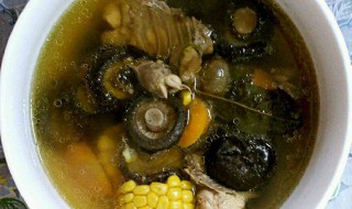 鸟鸡如何炖汤（鸟鸡如何炖汤好吃）