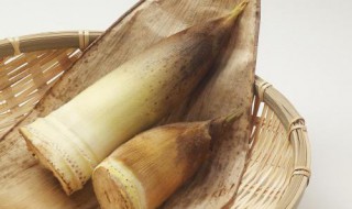 腐笋如何处理（笋怎样处理）