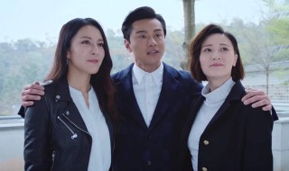 法证先锋4怎么播放的(法证先锋4哪个视频可以看)