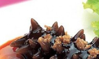 红海参叫什么 红海参叫什么名字好听