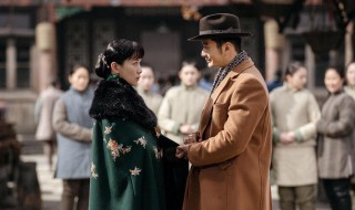 电视剧鬓边不是海棠红剧情介绍（电视剧《鬓边不是海棠红》）