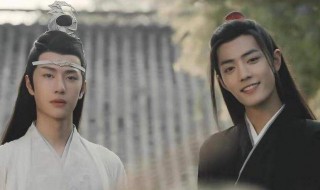 魏婴真的爱蓝湛么 魏婴爱蓝湛吗