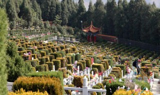 疫情期间清明能不能扫墓（疫情期间可以扫墓吗）