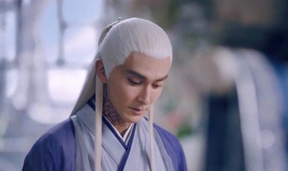 三生三世枕上书是怎样更新的（三生三世枕书更新时间表）