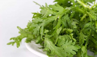 初春吃的蔬菜 初春吃的蔬菜是什么