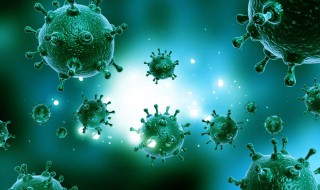 新型冠状病毒叫做什么病毒(新型冠状病毒叫做什么病毒名称)