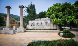 湖南的高校什么开学（湖南的高校什么开学了）