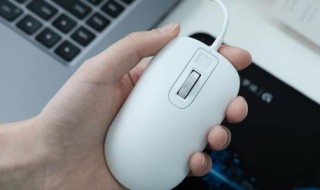 电脑开机鼠标停在中间不会动（台式电脑鼠标不动了按哪个键）