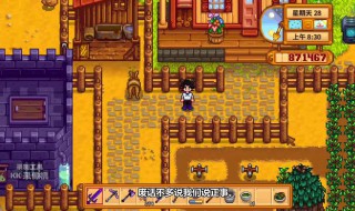 星露谷觅食5级选什么 星露谷物语觅食5级选啥好