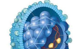 疫情我们应该如何做（疫情我们应该如何做防护）