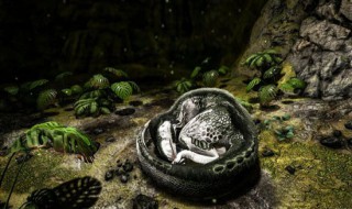 方舟手游有哪些牛逼生物（方舟最好玩的生物）