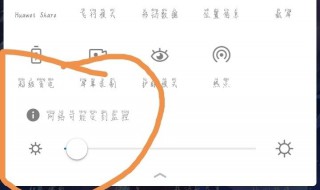 vivo手机抓包精灵怎么用 抓包精灵怎么抓取vivo主题