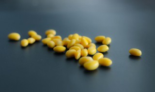 如何快速挑选黄豆种子 如何快速挑选黄豆