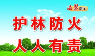 在森林如何预防火灾（在森林里如何预防火灾）