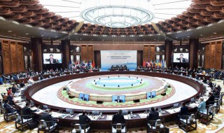 g20领导特别峰会开了吗（g20峰会在哪儿召开）