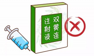 双黄连的注意事项 双黄连的禁忌症