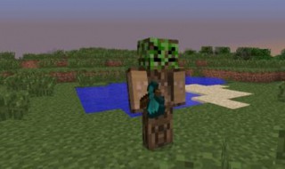 我的世界清除玩家指令（我的世界手机版清除玩家的指令）