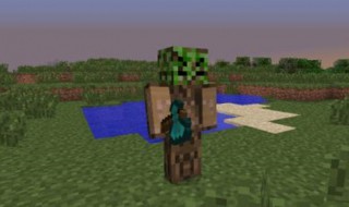 我的世界雪原怎么找 我的世界雪原地形指令