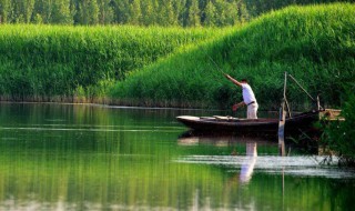 春天降温第一天好钓鱼吗（春天降温前一天好钓鱼还是当天降温好钓鱼）