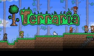 泰拉瑞亚苦力怕套装怎么得（泰拉瑞亚苦力怕套装怎么得id）